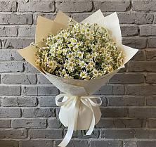 Букет цветов из:  Ромашки #REPLACE_PRED# Казанское