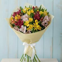 Букет цветов из:  Альстромерии #REPLACE_PRED# Казанское